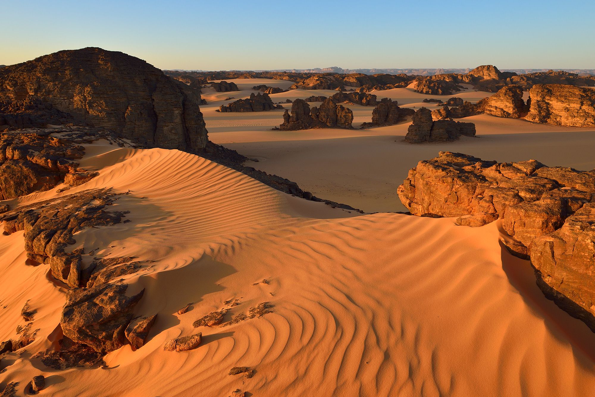 A scenic view of the Sahara desert under a starry night sky